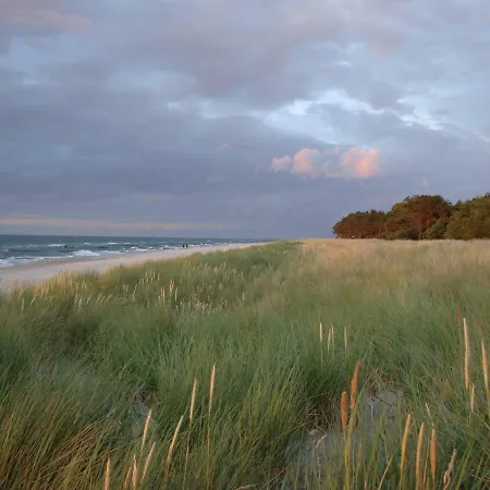 Ferienwohnung Am Strand Zingst Exterior foto